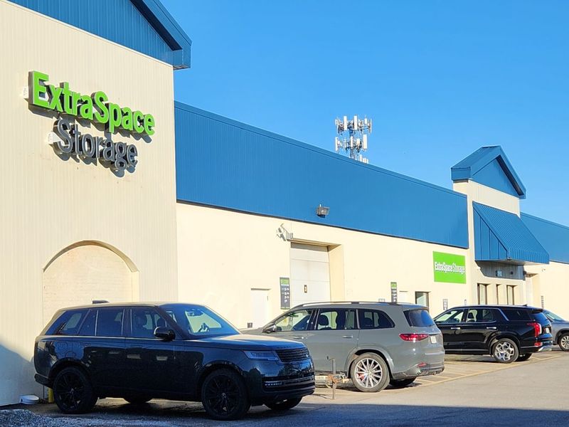 Alternate Beauty Image