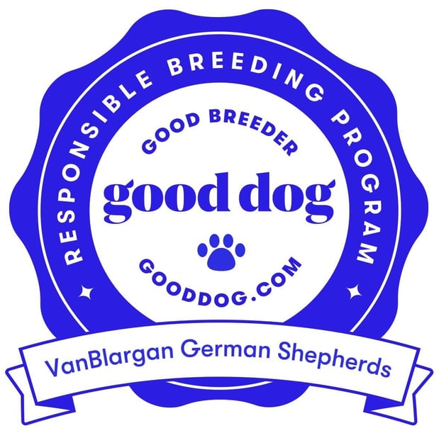 Images VanBlargan German Shepherds