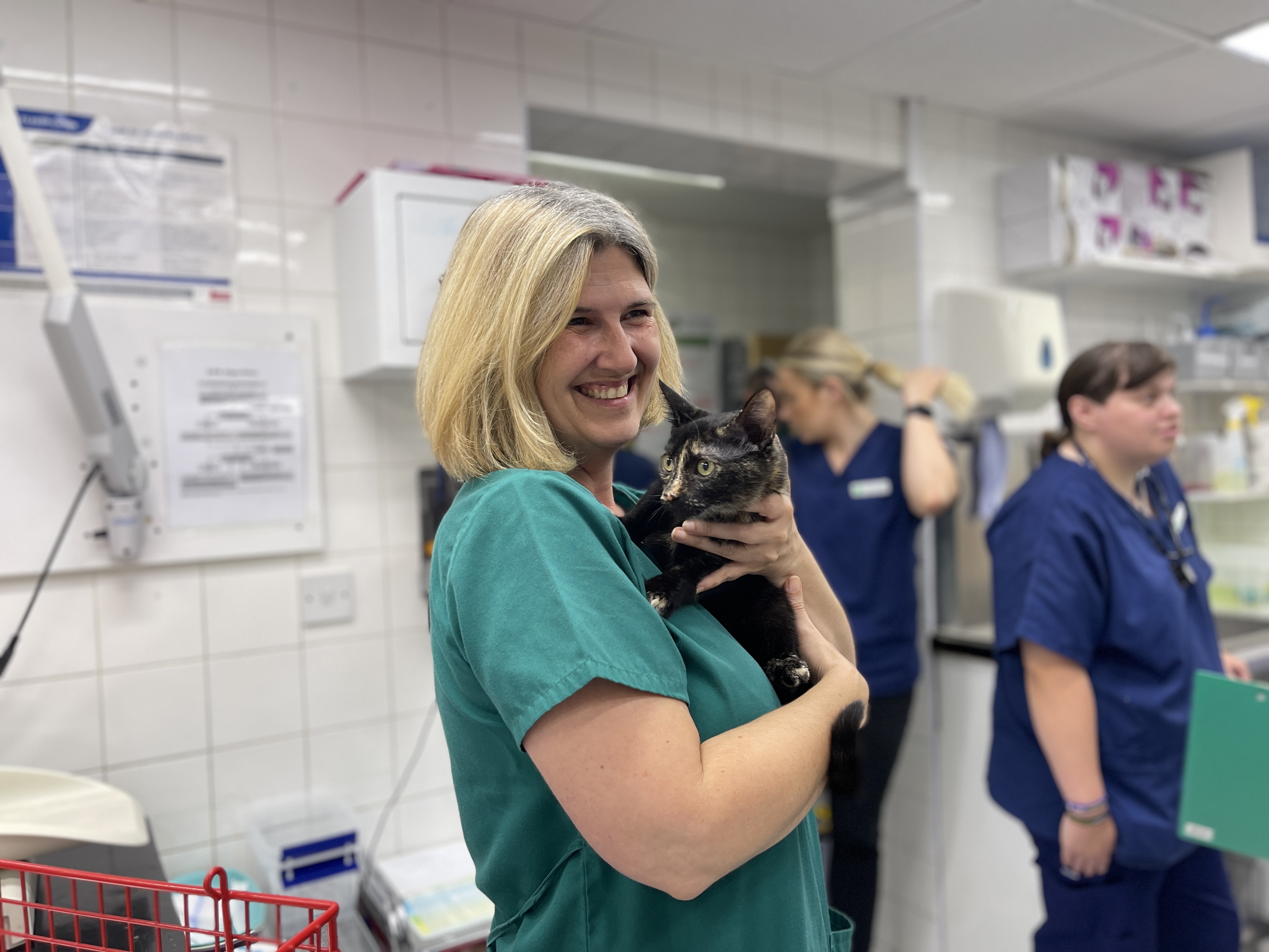 Images Streatham Hill Veterinary Surgery