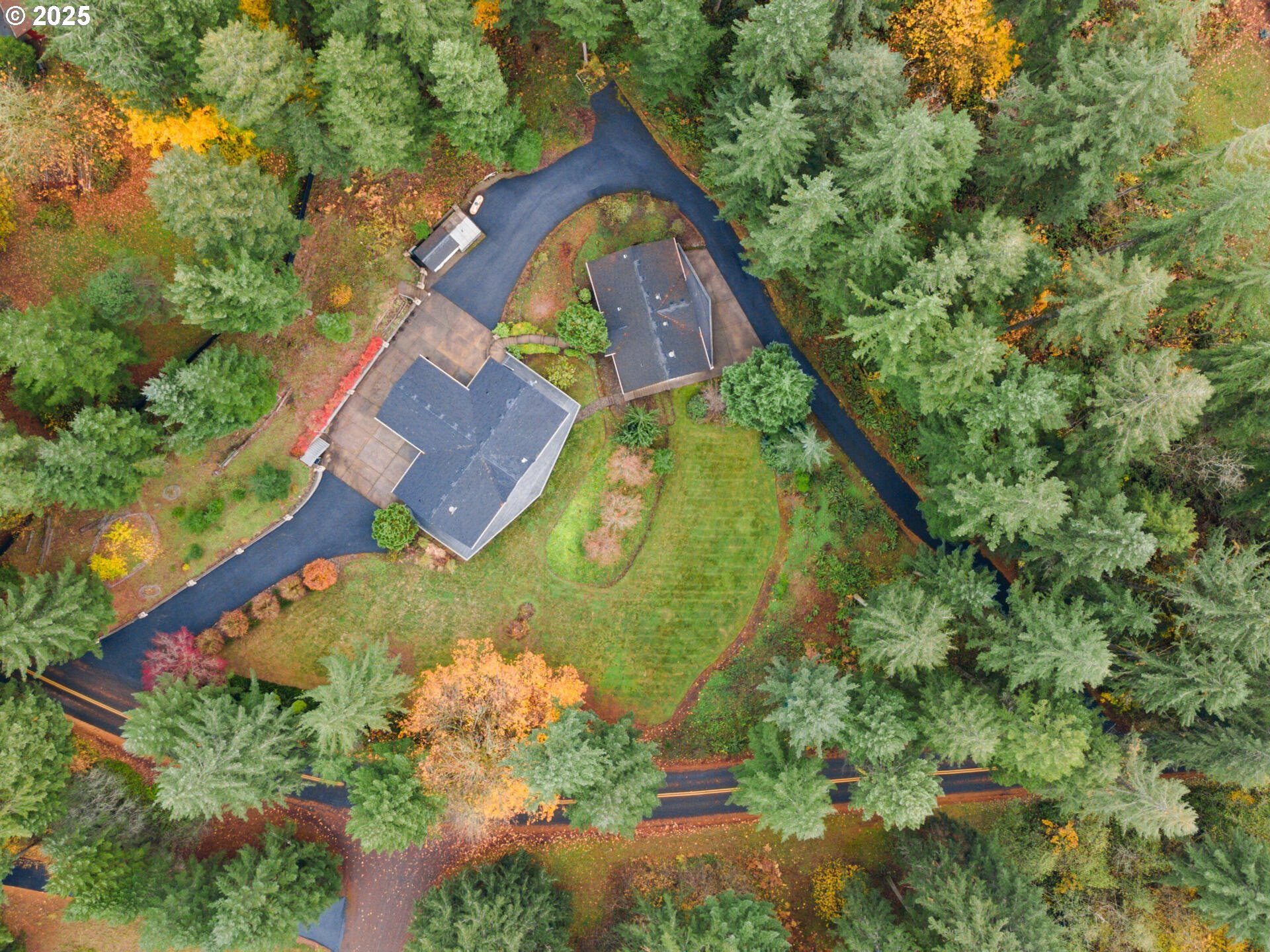 A striking aerial view of a private residential property surrounded by mature evergreen trees and seasonal foliage.