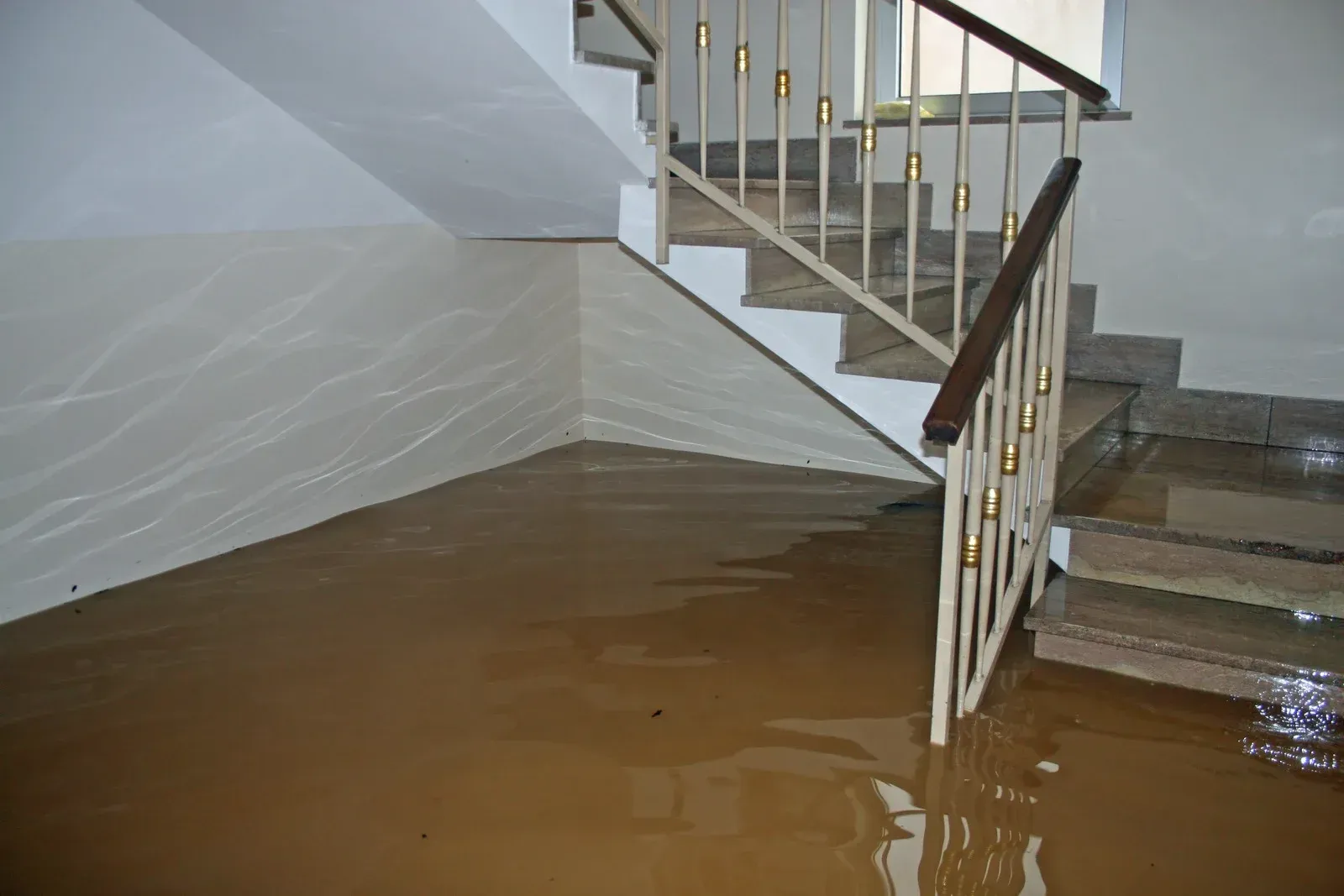 Water damage restoration services help homeowners recover after leaks, floods, or plumbing failures. Rapid water removal, drying, and repairs minimize structural damage and reduce the risk of mold growth.
