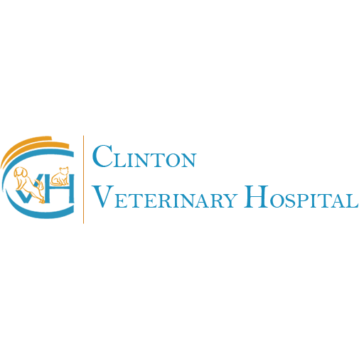 Clinton Veterinary Hospital - Clinton, MA 01510 - (978)368-8509 | ShowMeLocal.com