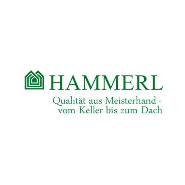 Hammerl Kurt Ing GesmbH Logo