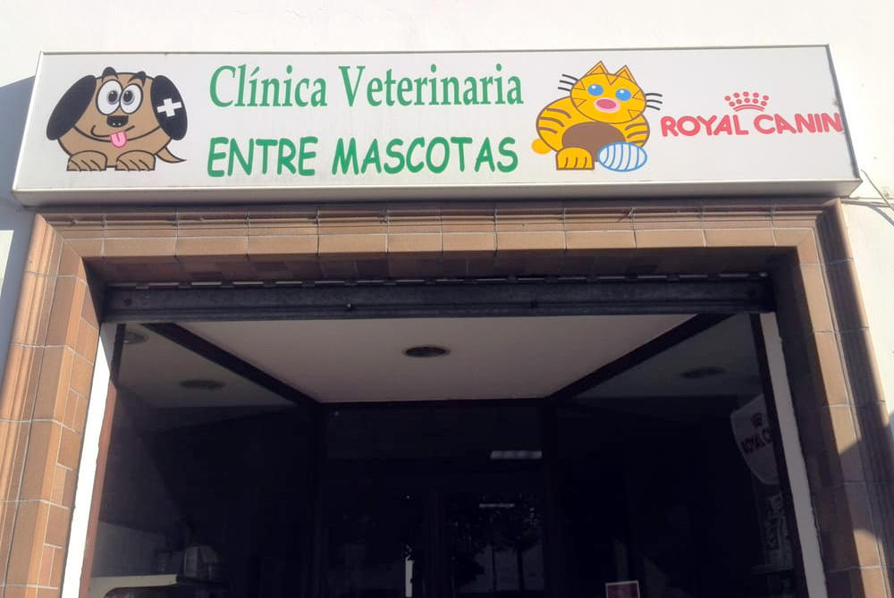 Images Clínica Veterinaria Entre Mascotas