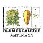 Blumengalerie Mattmann AG Logo