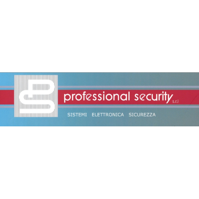 Professional Security Logo