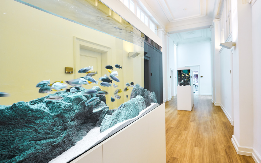 Zahn- & Implantatzentrum Münster Dres. Broschk und …