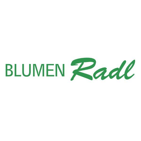 Blumen Radl - Florist - Wien - 01 9799200 Austria | ShowMeLocal.com