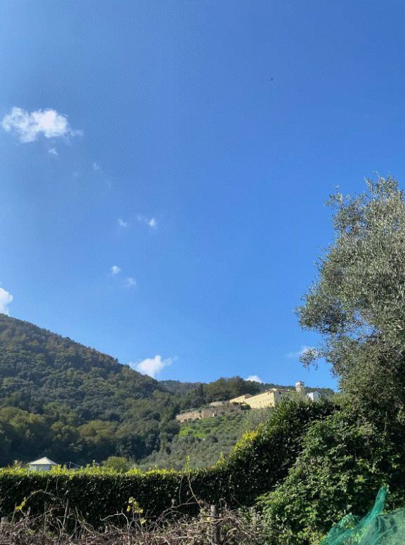 Images Terre Armoniche