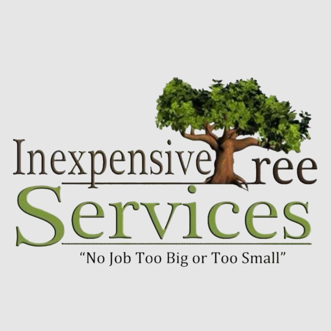 business logo