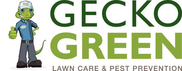 Images Gecko Green Lawn Care