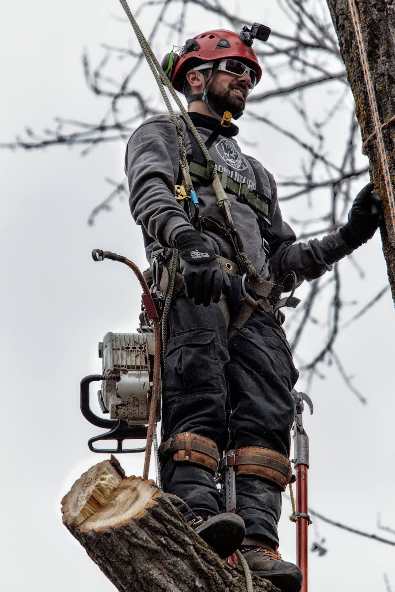 Images Arboriculture DB Inc.