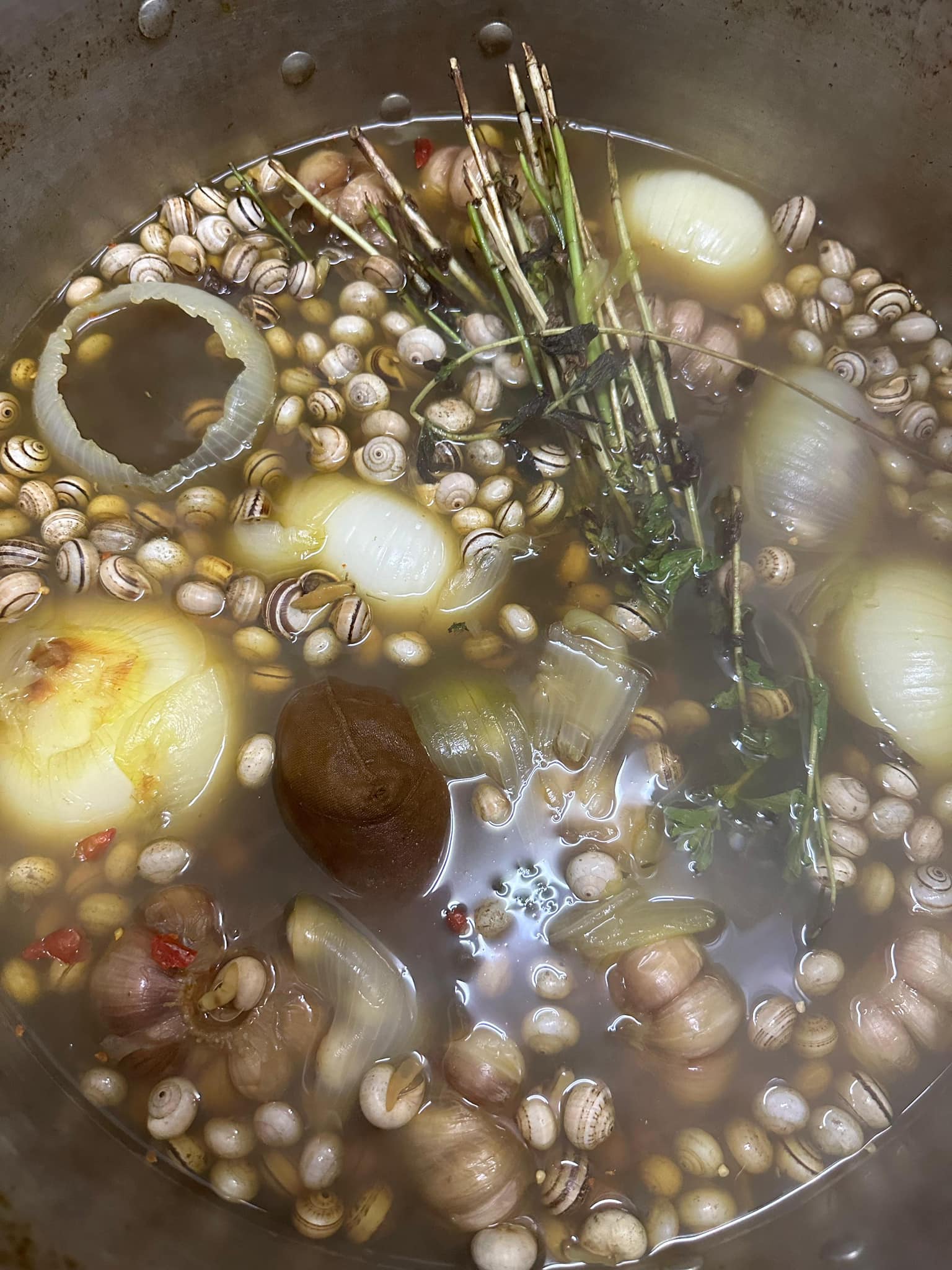 Images Bar El Rinconcito