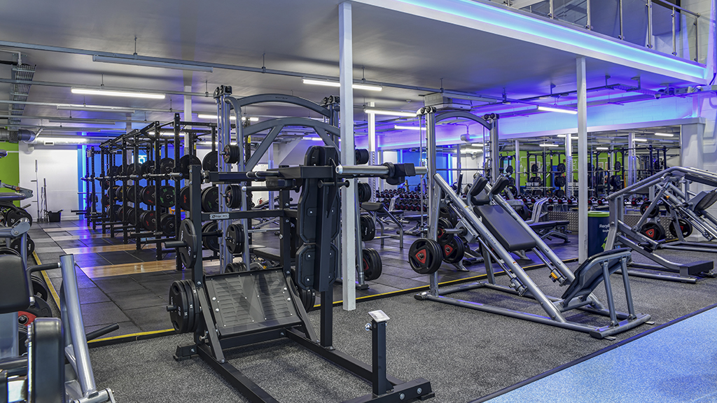 Free Weights Area