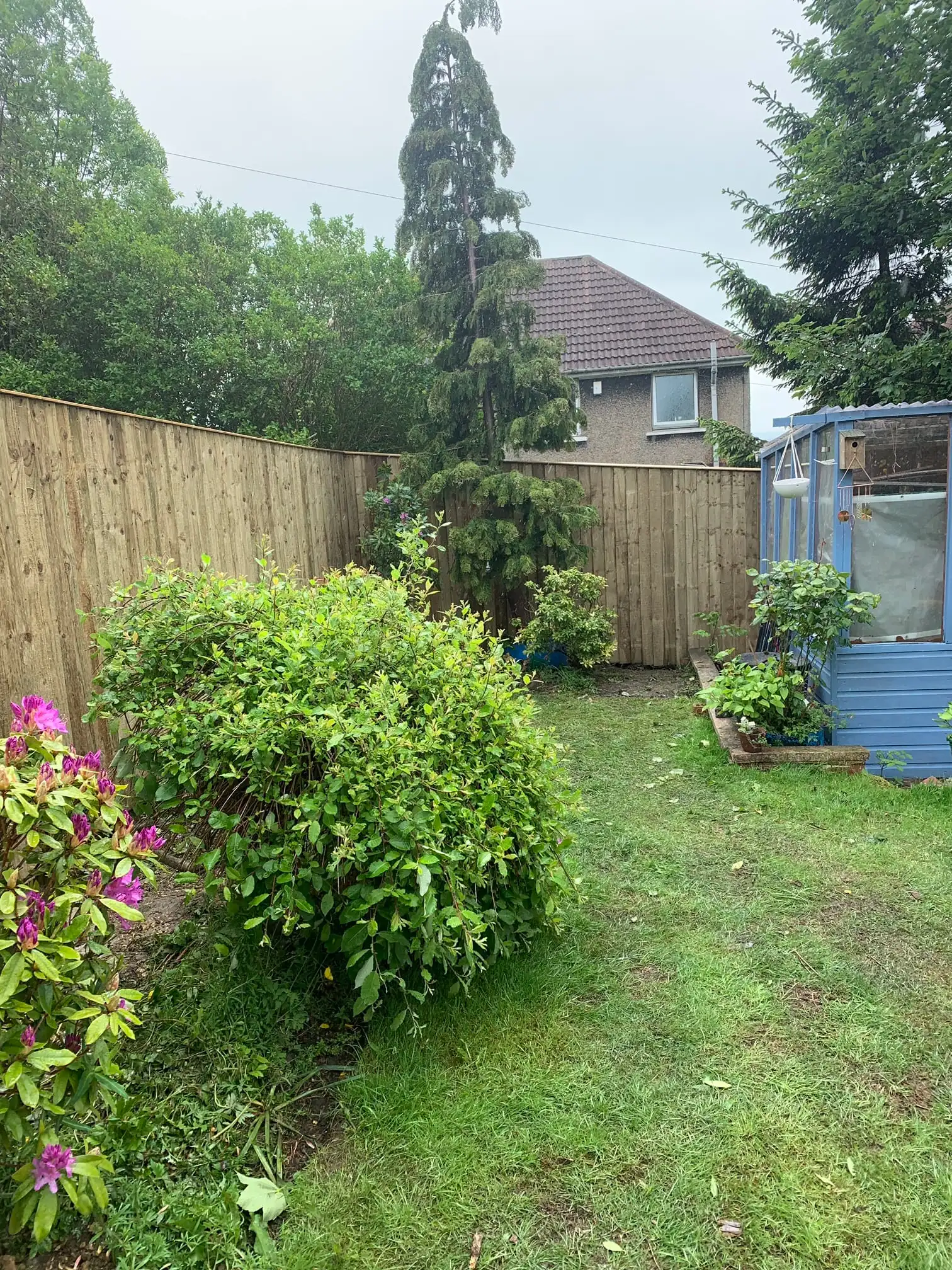 Images D & E Landscapes