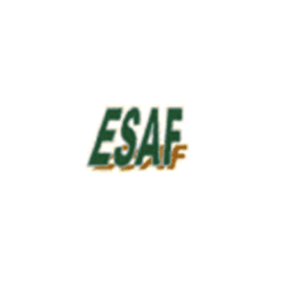 Esaf - Resistenze Elettriche Logo