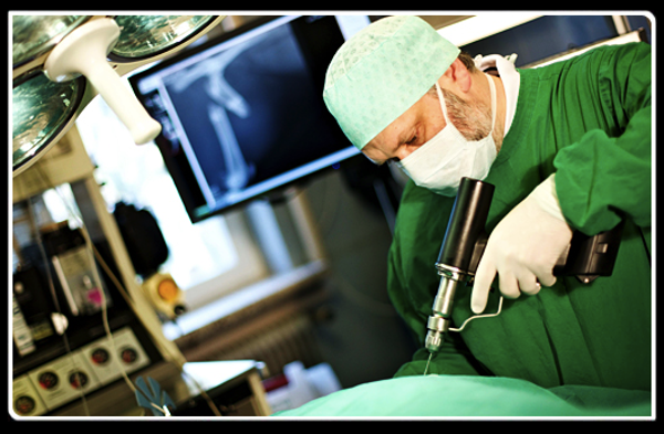 Tierklinik Dr. Krebitz GesnbR, Viktringer Ring 3 in Klagenfurt am Wörthersee