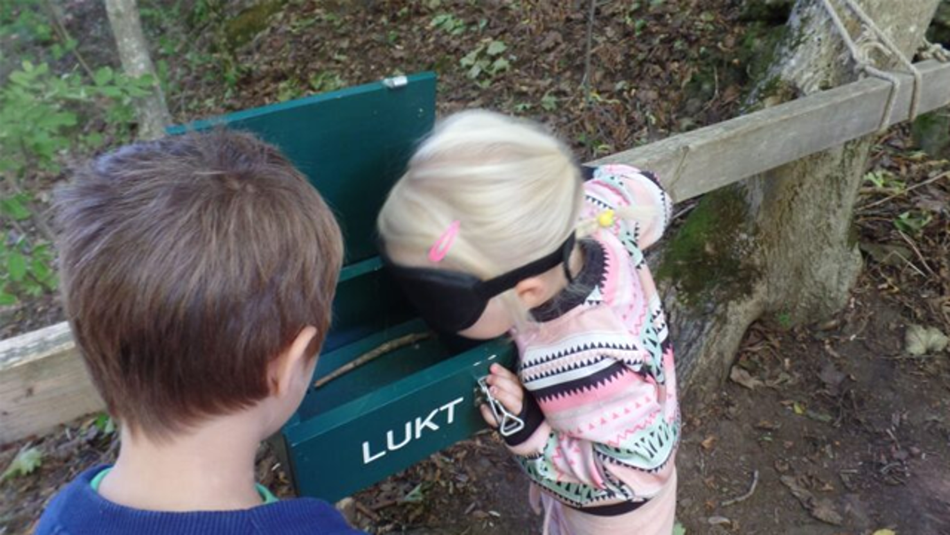 Images Furuly Bhg AS