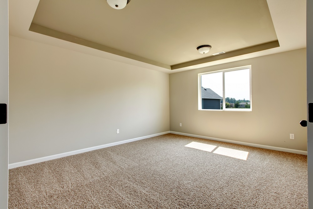 Carpet Cleaning Pros Phoenix Photo
