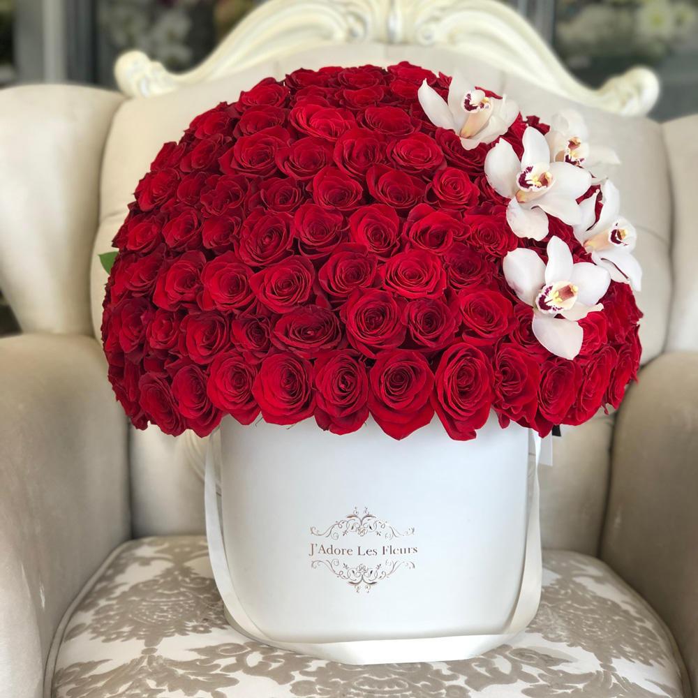 Signature Roses with Cymbidium Orchids
SKU: JLF002001
Throughout history, roses have always been considered as the flower of elegance, love, romance and passion. This breathtaking design of J’Adore Signature Rose Box is as elegant as it is romantic. Capture the essence of elegance, romance and passion with this stunning box of red roses with cymbidium orchids on the side carefully put together with effort and detail one by one to create a smooth dome shape.