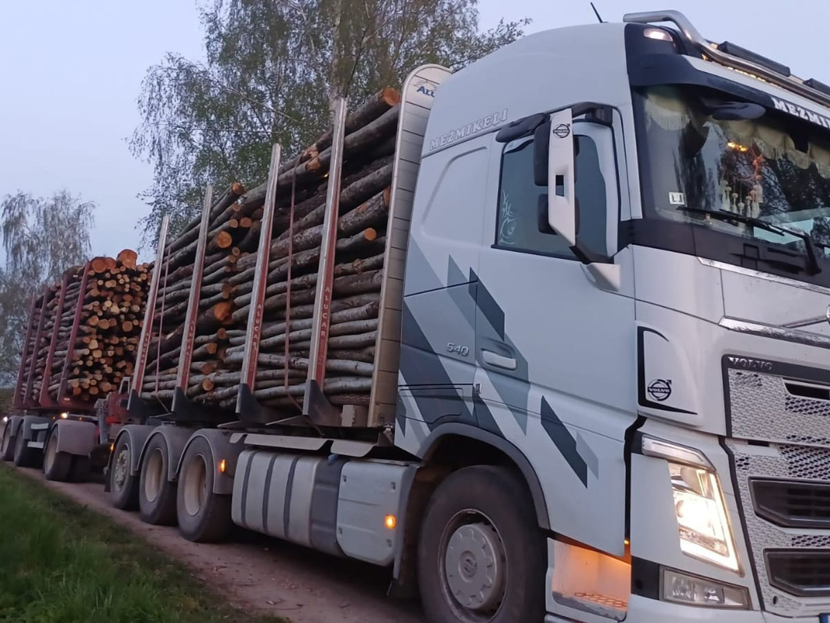 Kokmateriālu izvešana no meža, izmantojot uzticamu un jaudīgu forvarderu.
