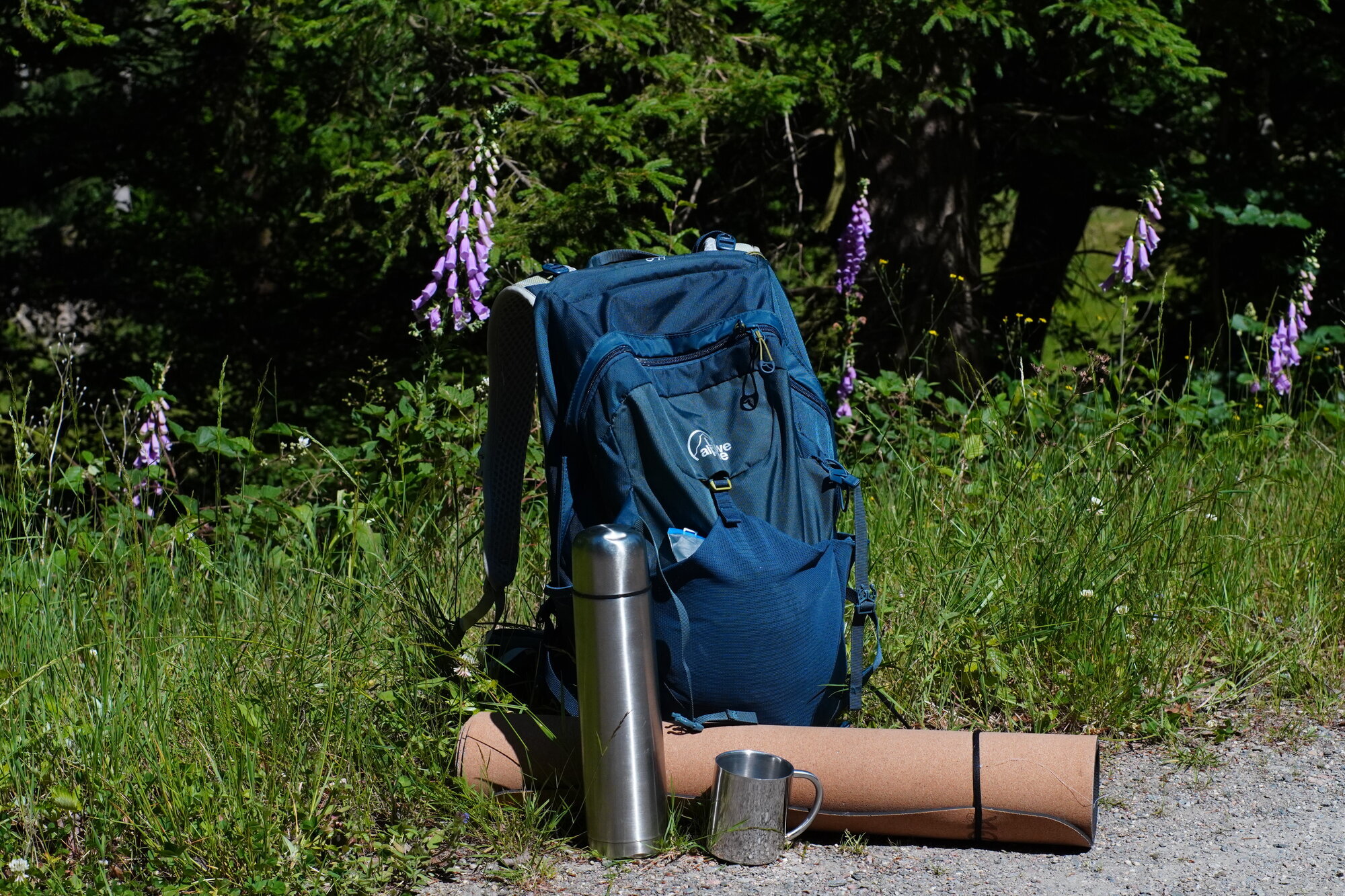 Fasten & Balance - Larissa Hoffmann, Strüthbachweg 1 in Heidenrod