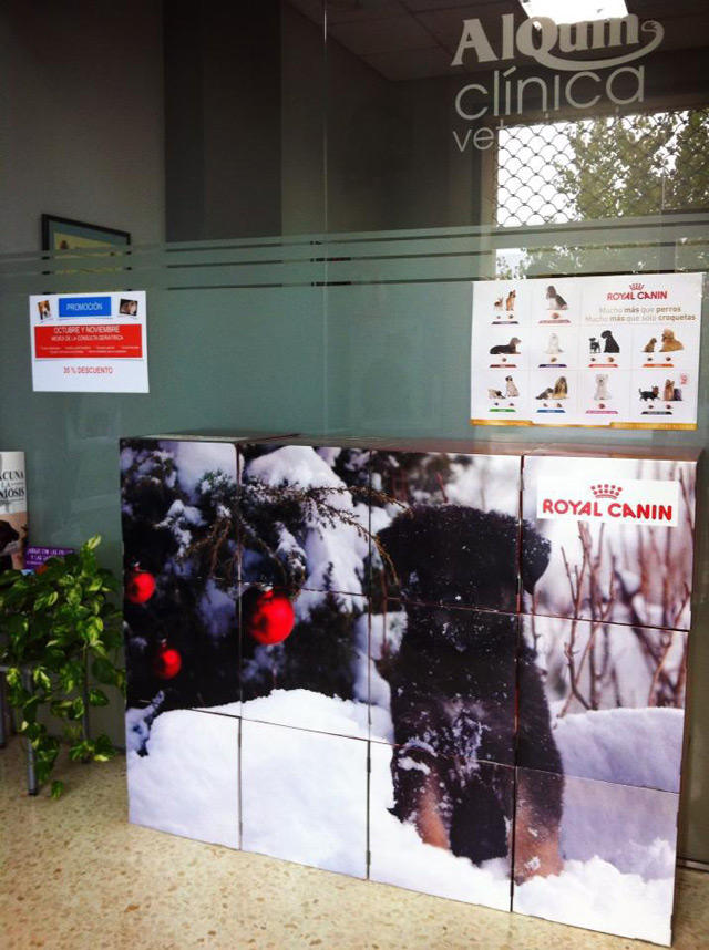 Images Clínica Veterinaria Alquín