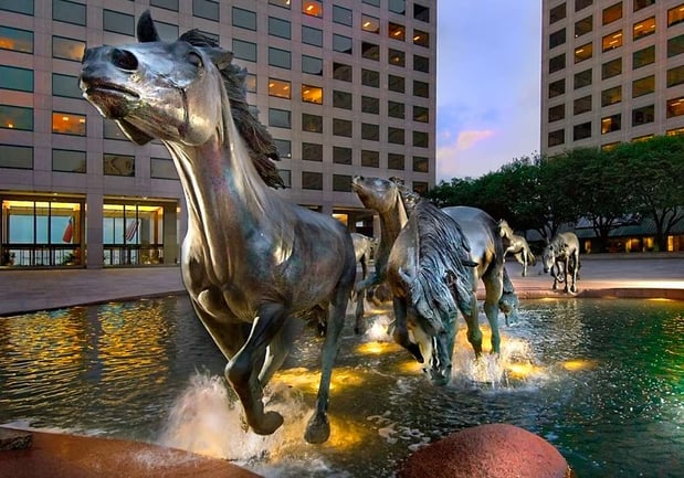 Images Hilton Garden Inn DFW Airport South