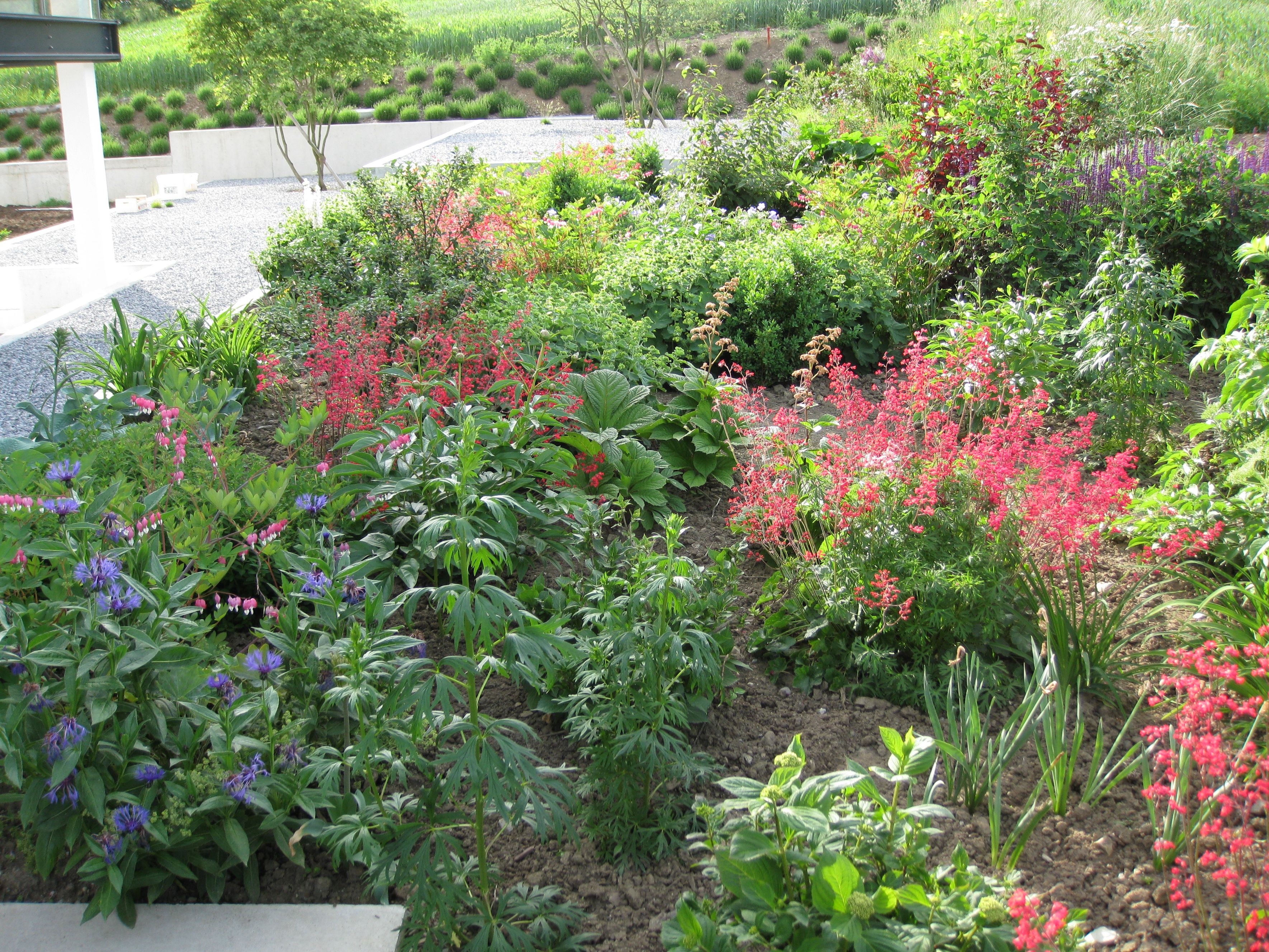 Bilder Trais Fluors Gartenbau GmbH