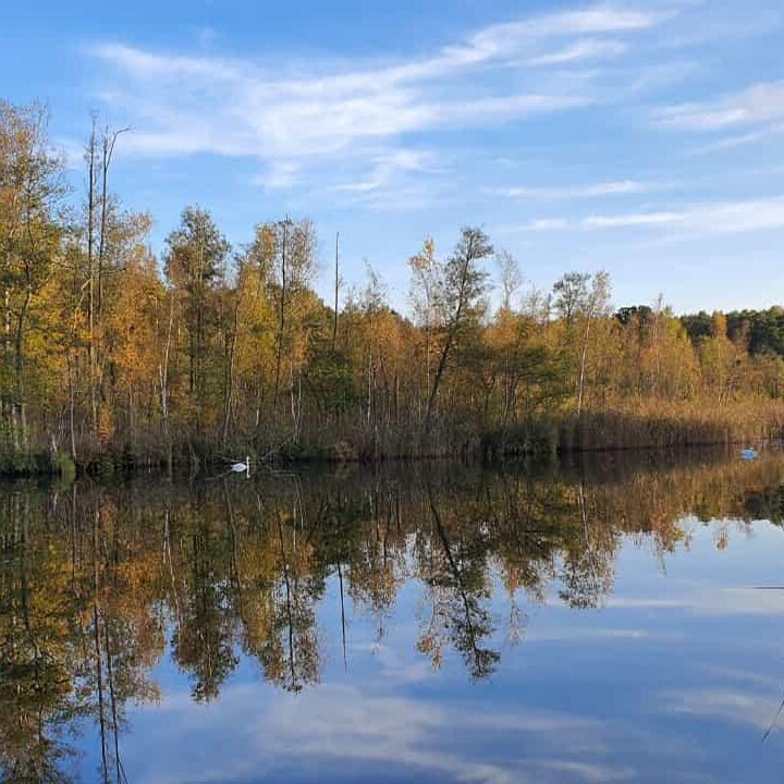 Fastenwanderzeit, Fleether Mühle 1 in Mirow