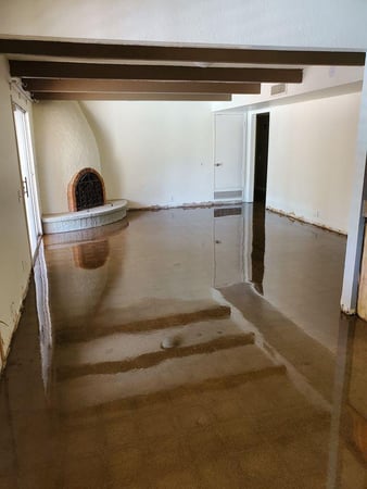 Images Valley Concrete Coatings and Polishing