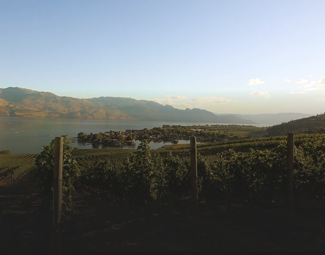 A winery in the Okanagan Valley.