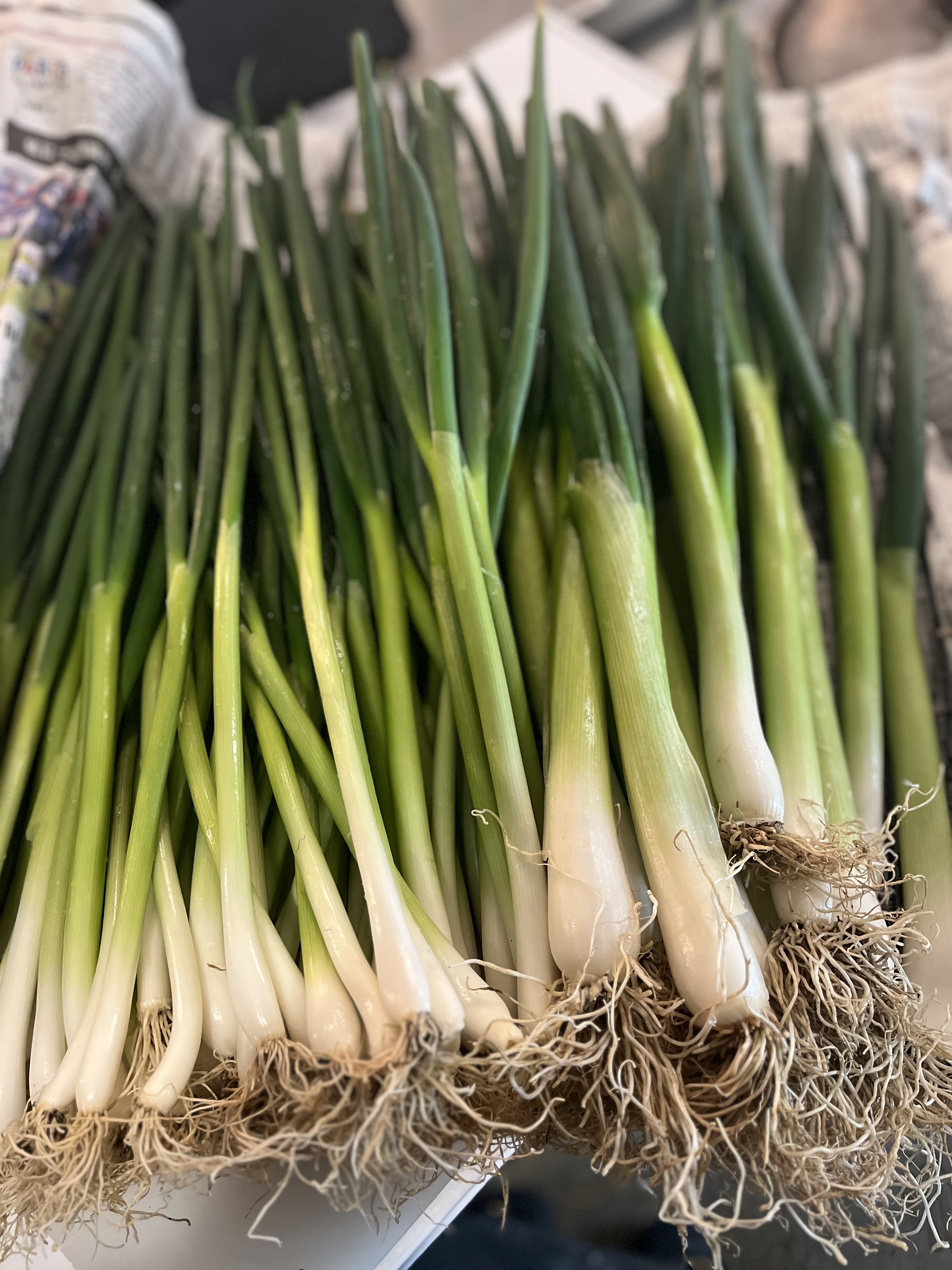 Images 美味いもん酒場　津野屋