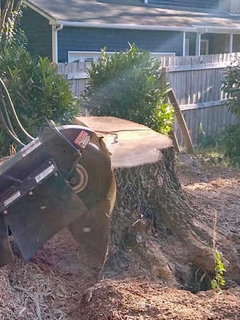 Images Greg's Stump Grinding