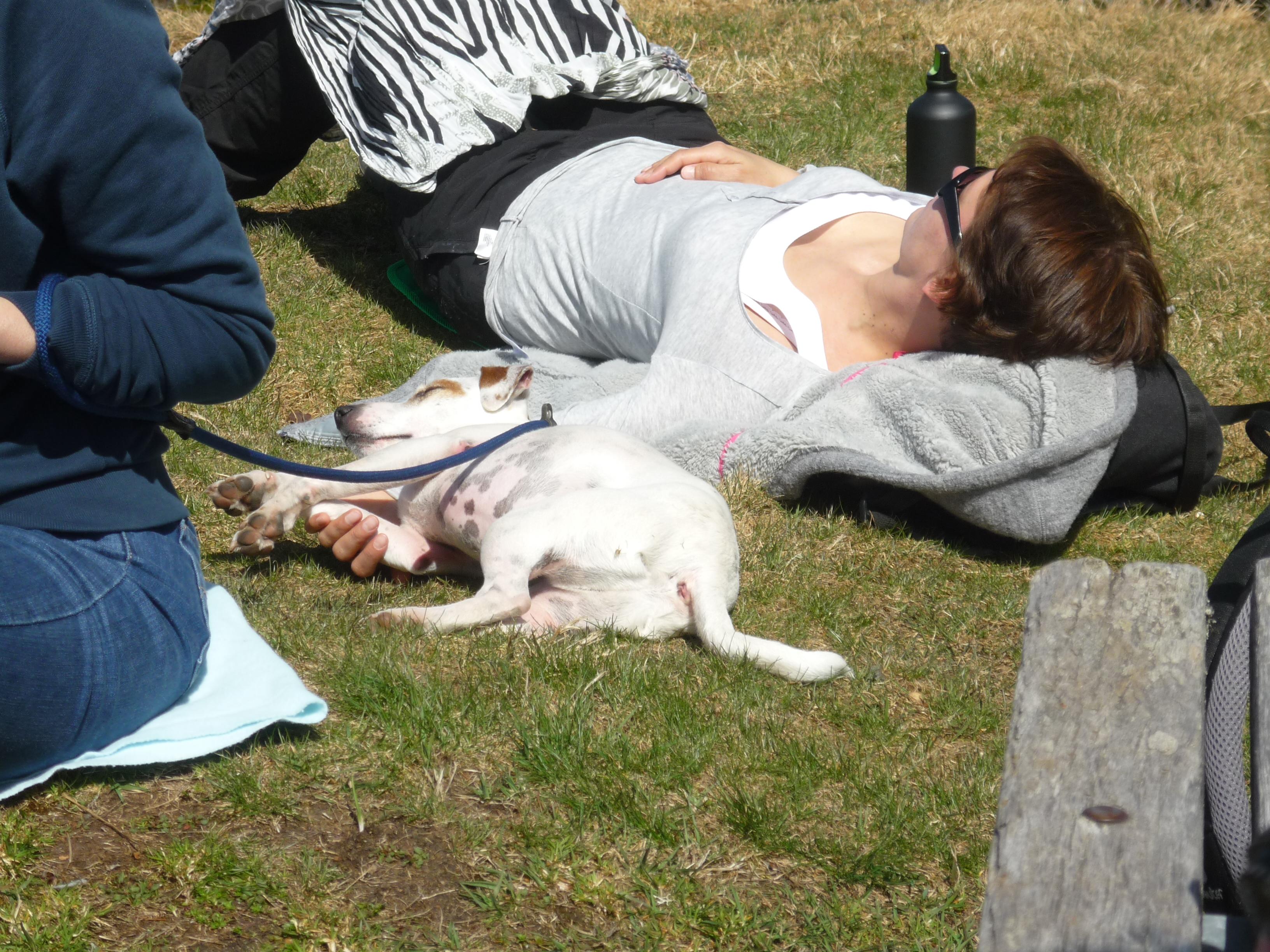 Erlebnisfasten - Fastenwandern Schwarzwald, Am Fischrain 6 in Sankt Blasien