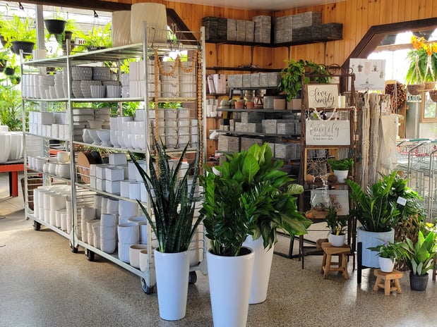 Images Sunny Spot Nursery