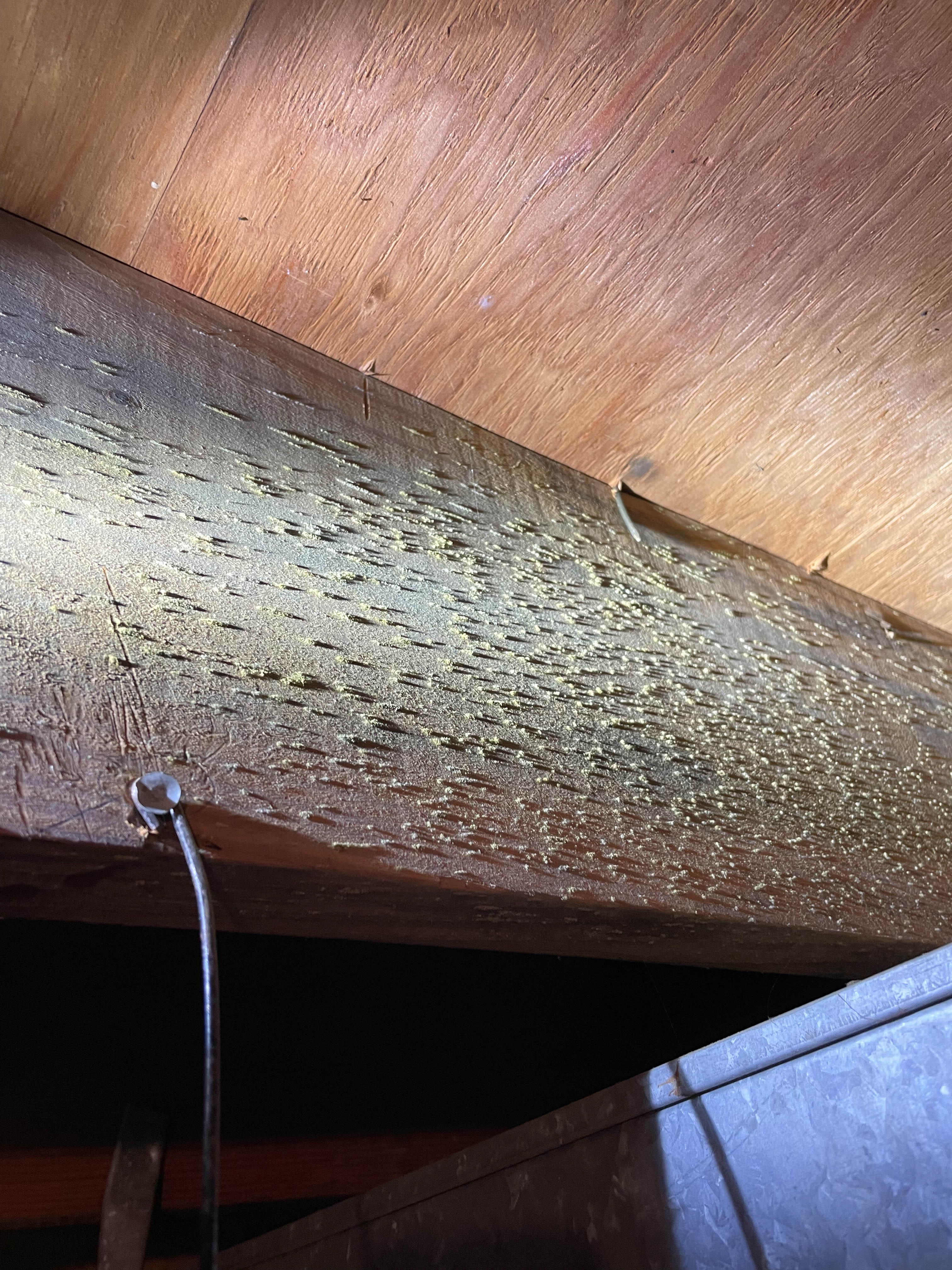 A minor mold problem may easily turn into a major infestation. After you contact SERVPRO of Northwest Knoxville, we can begin the remediation process right away.