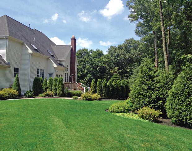 Images NaturaLawn of America