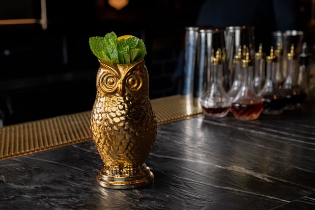 Images The Bronze Owl