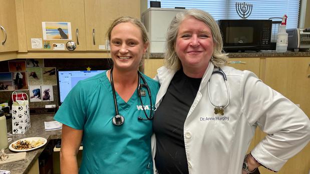 Images VCA Hollywood Animal Hospital