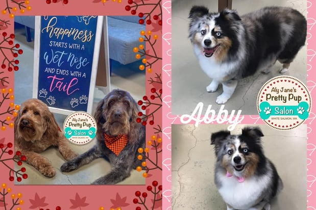 Images Aly Jane's Pretty Pup Salon
