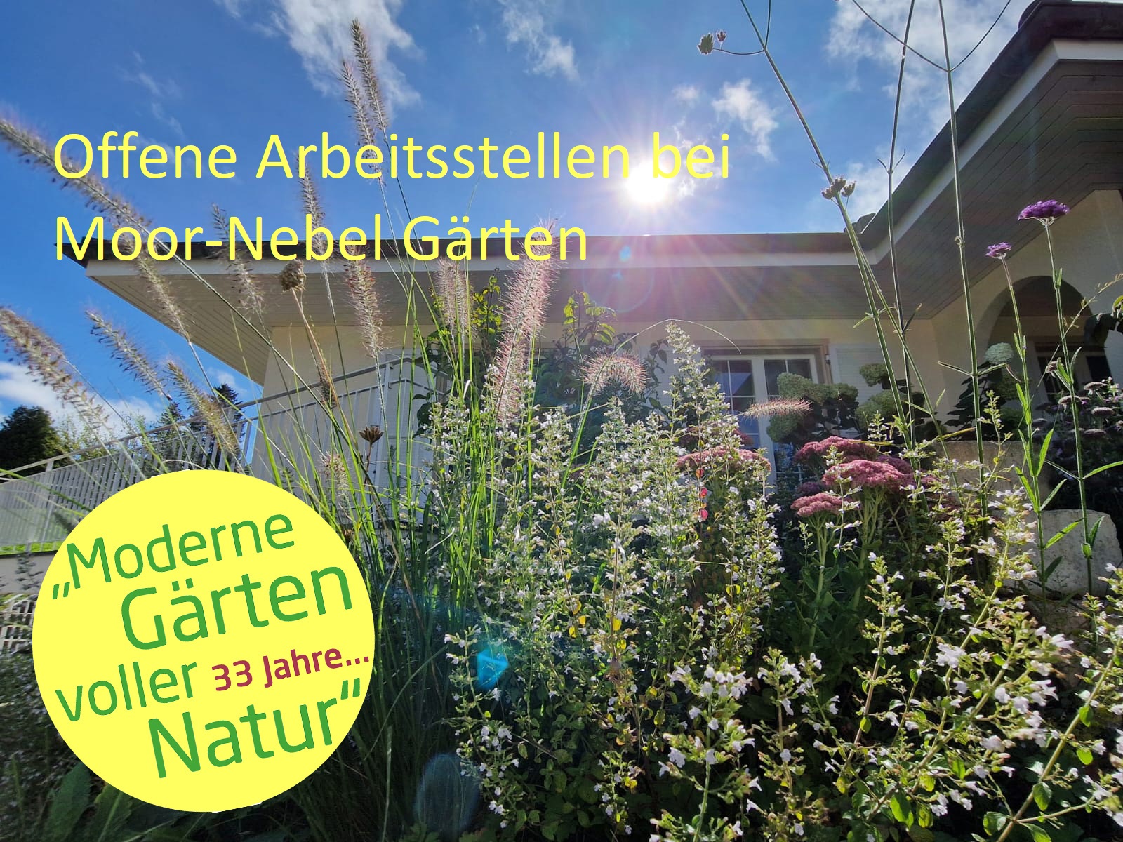 Bilder Moor-Nebel Gärten GmbH