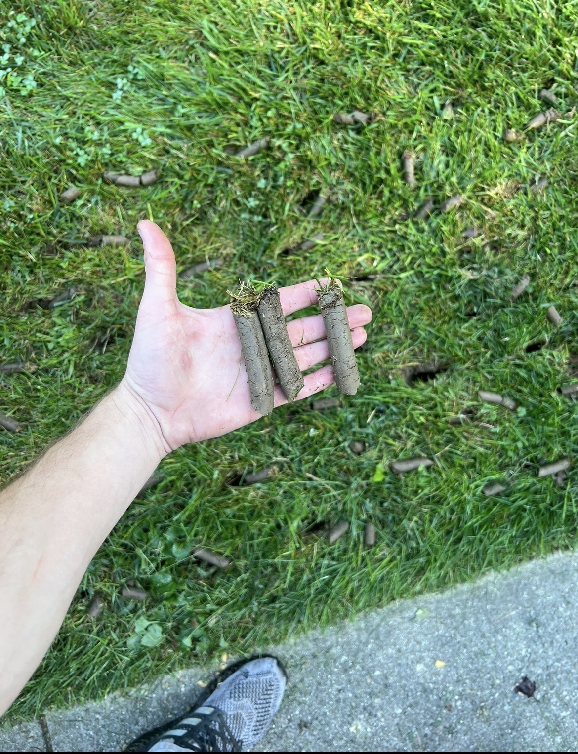 Shepherd's Landscaping Image