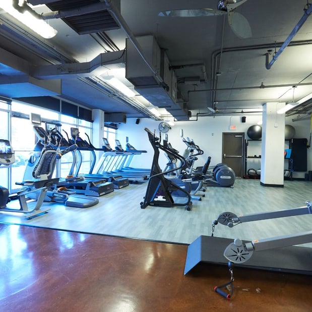 Images Trophy Fitness Mockingbird