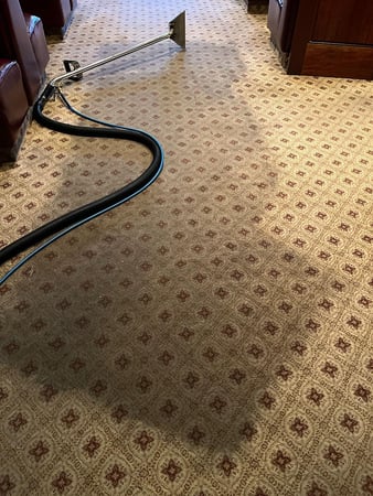 Images Zest Carpet Cleaning