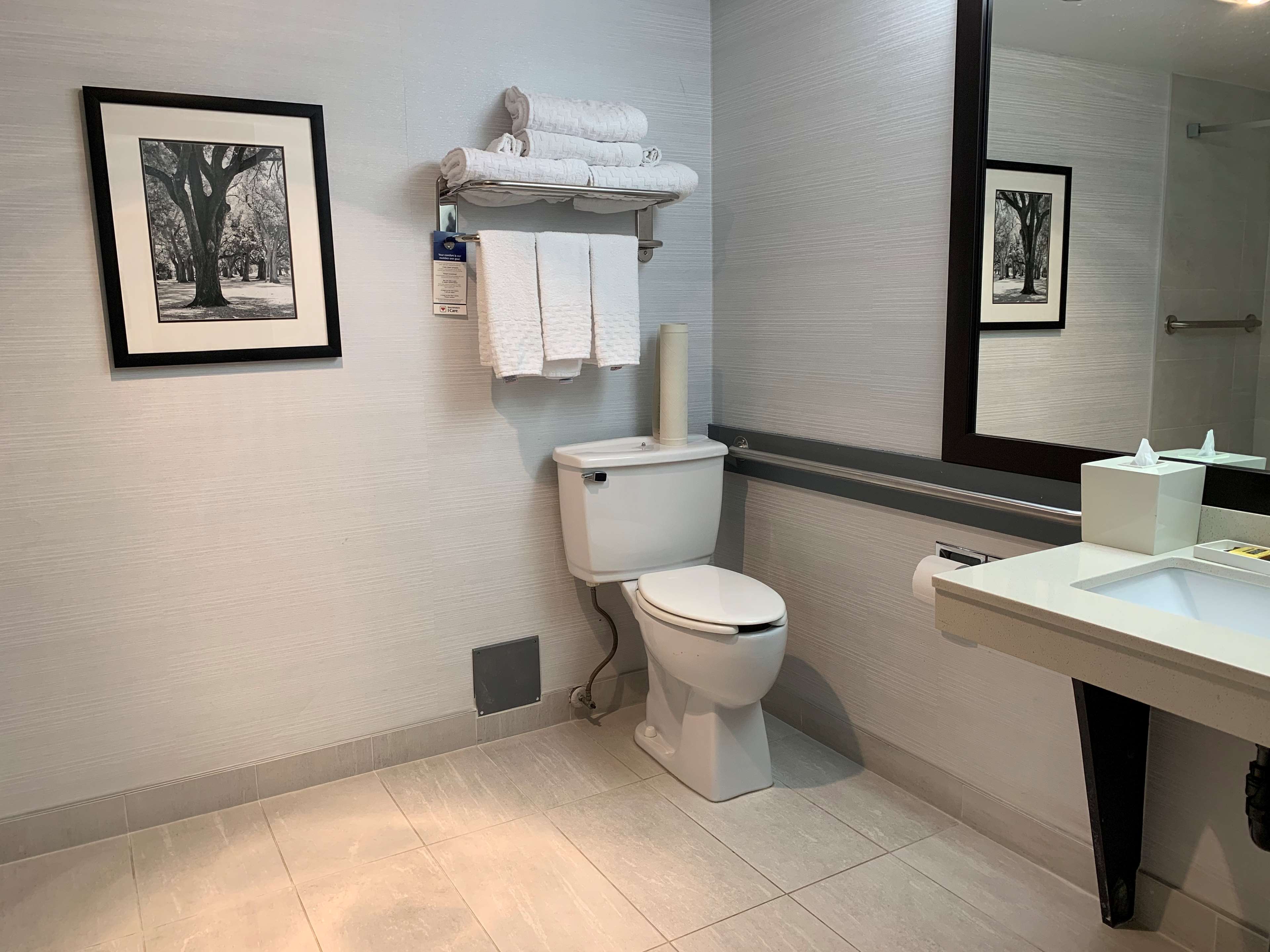 Best Western Plus Regency Inn & Conference Centre à Abbotsford: Accessible Washroom