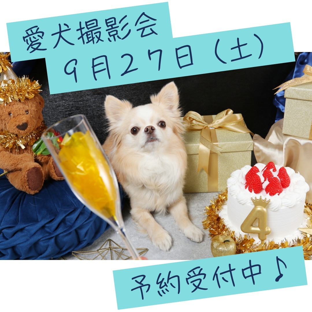 Images たまとポチ 宇津木店