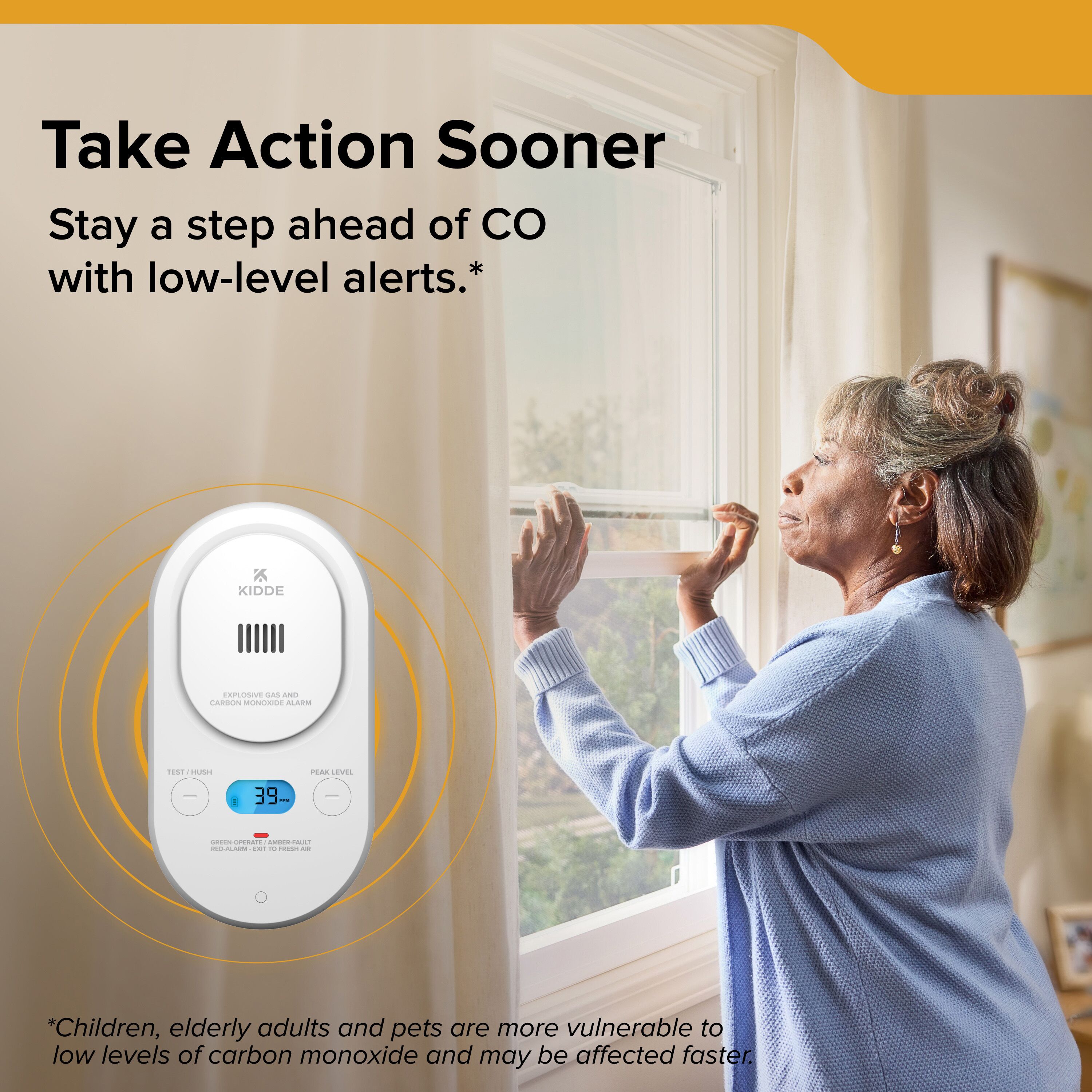 Explosive Gas & Carbon Monoxide Alarm, Plug-In with AA Backup