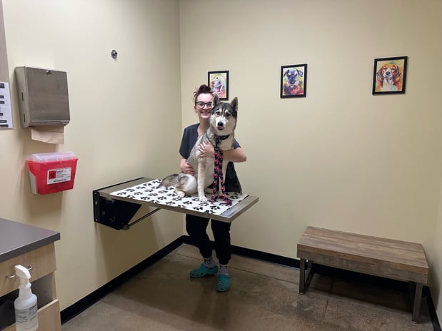 Images Vetco Total Care Animal Hospital