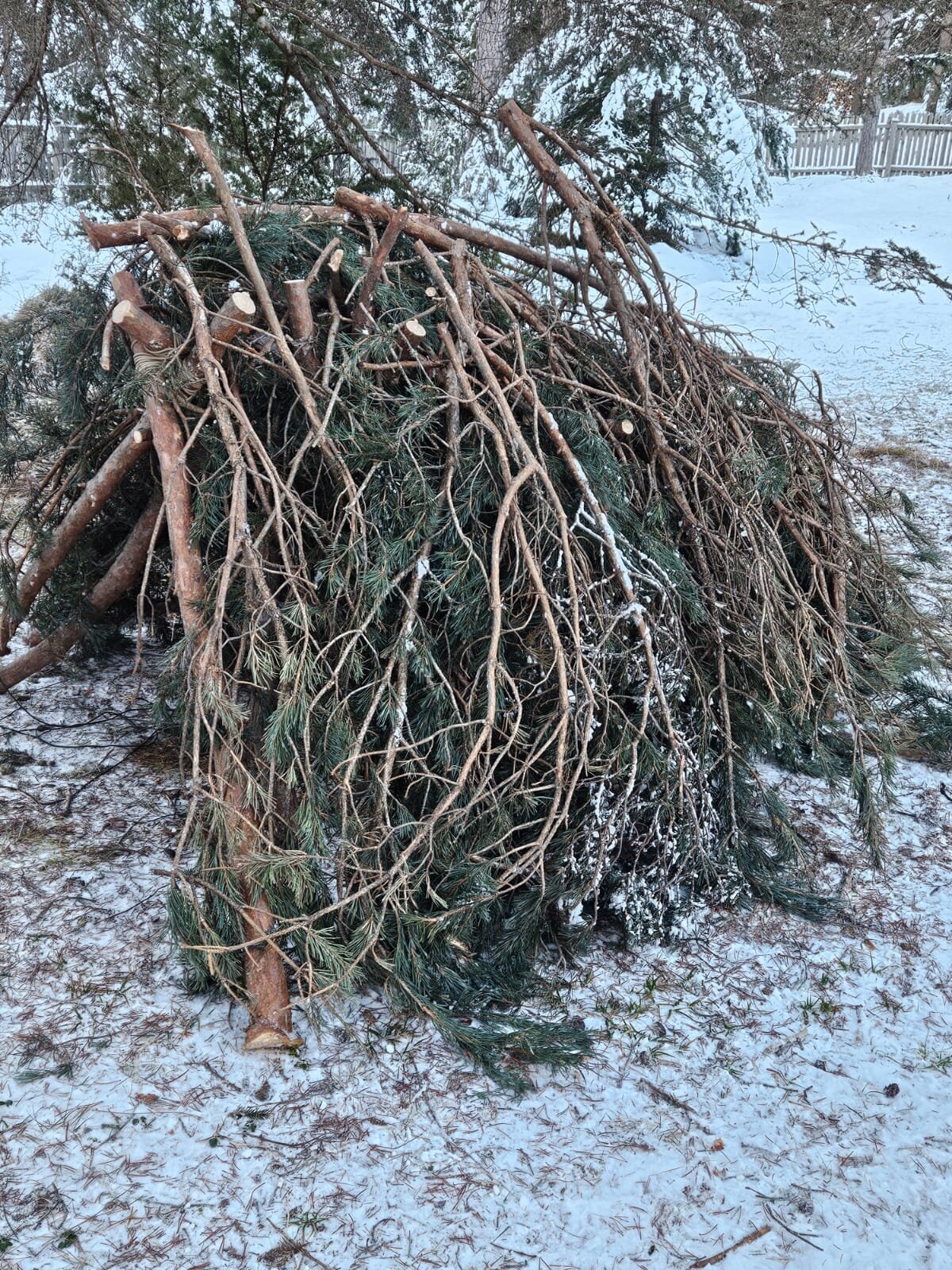 Abenteuer Tirol, Hauptstraße 41 in Tarrenz